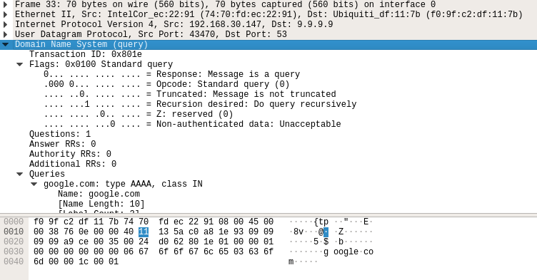 Standard DNS Query